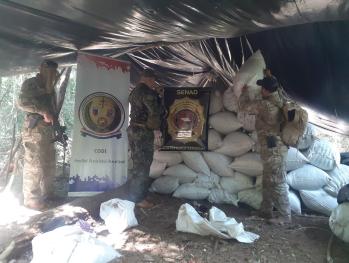 Destruyen otras 37 toneladas de la droga en Amambay